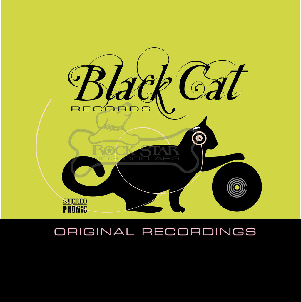 Black Cat DJ Art Print