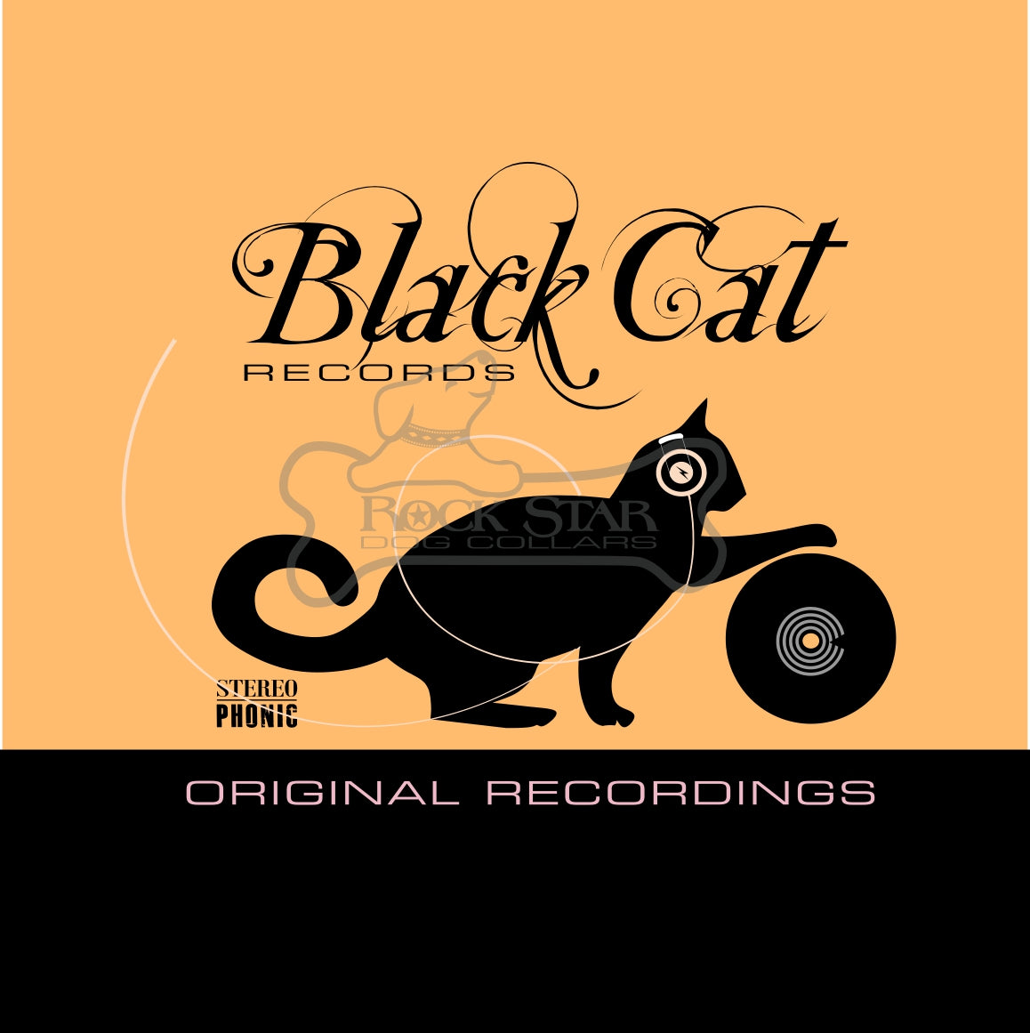 Black Cat DJ Art Print