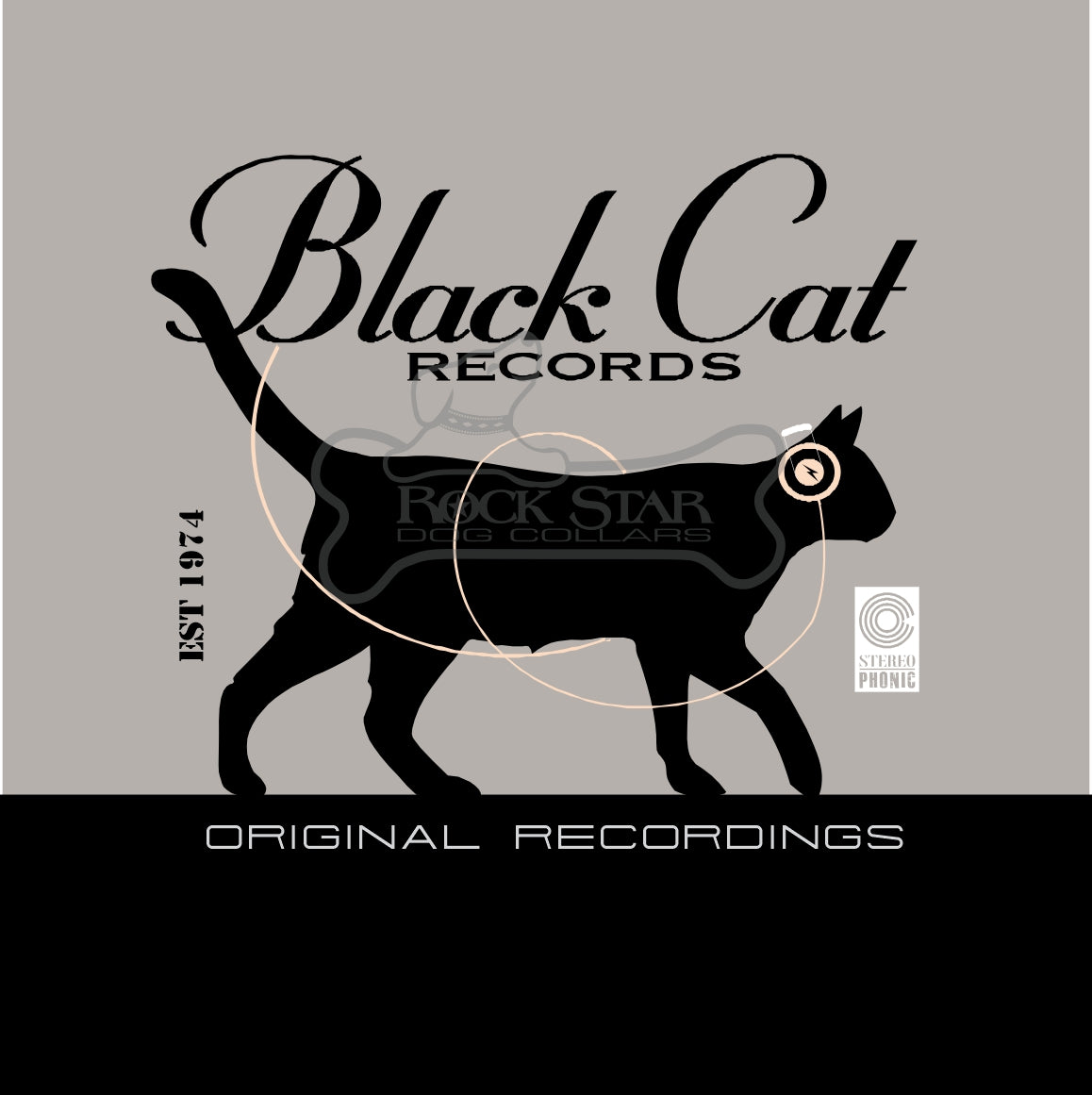 Black Cat Walking Art Print