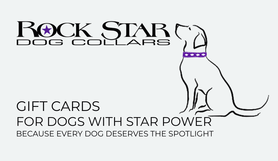 Rock Star Dog Collars - Gift Card