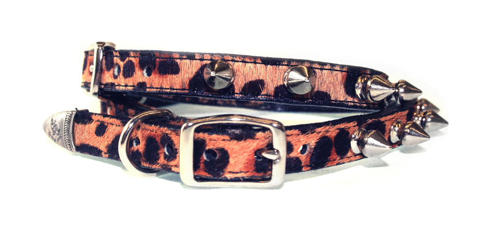 Baby Leopard spikes , Dog Collar - RockStarDogCollars