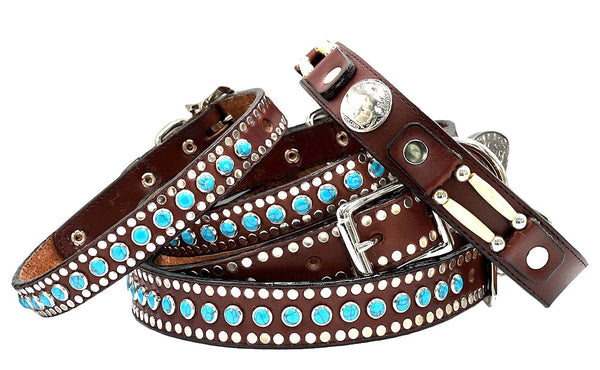 Brown Leather Dog Collar with Turquoise stones and nail head borders